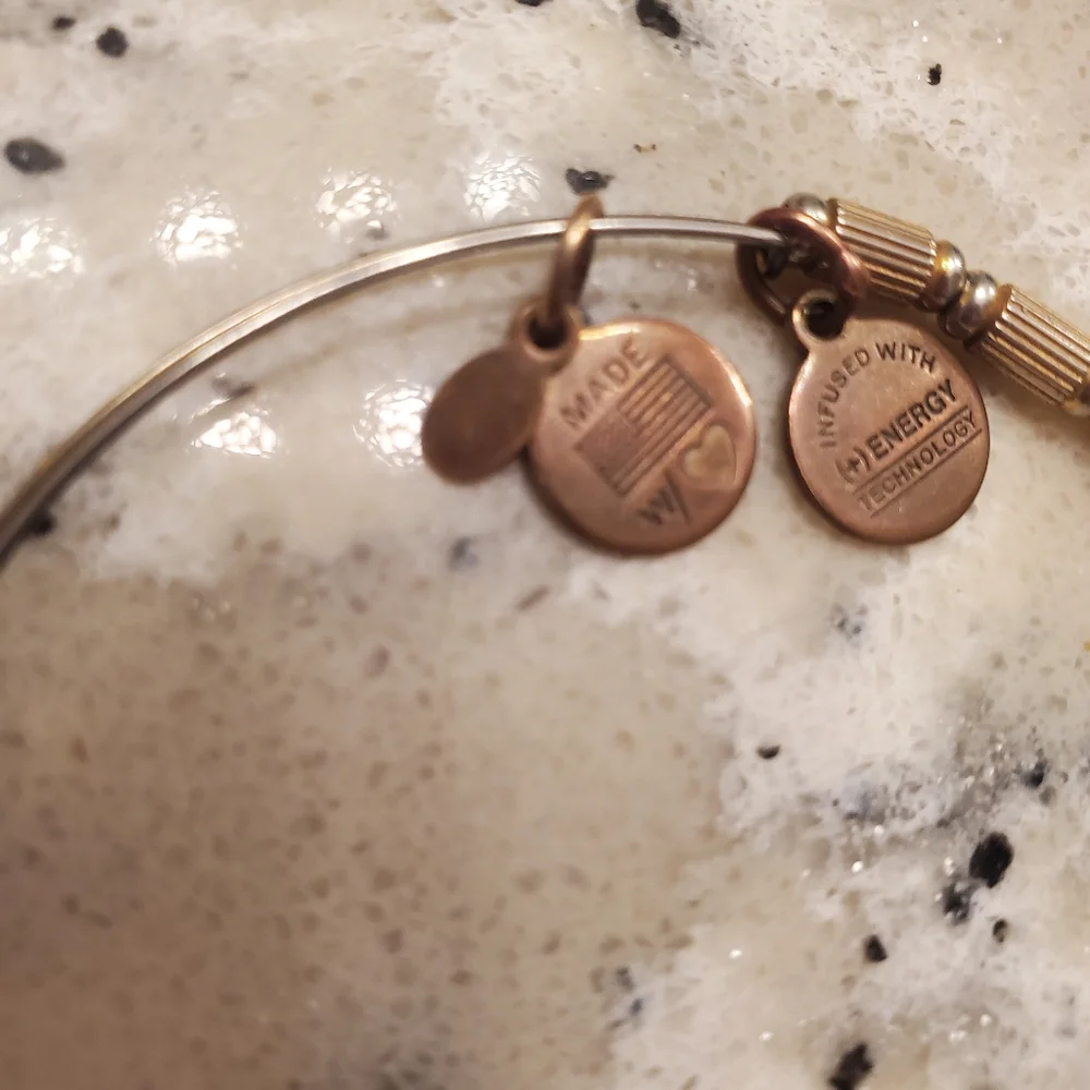 Alex and Ani Tigris Beaded bracelet with charms and Box